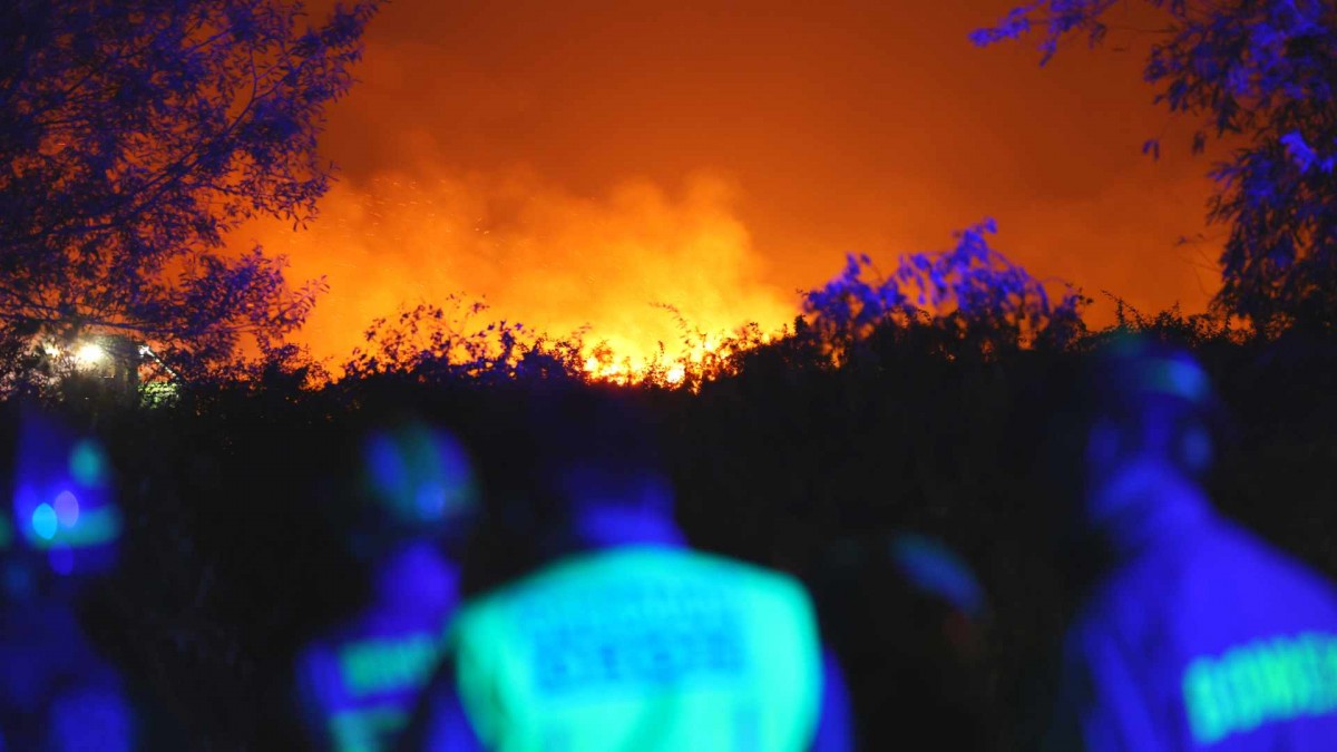 Senapred declara Alerta Amarilla por incendio forestal y advierte 'comportamiento extremo del fuego' en Talcahuano