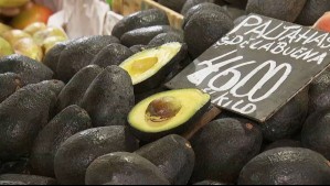 La batalla de los chilenos por obtener el 'oro verde'