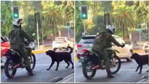 Video capta a carabinero rociando gas a un perro en plena vía pública: Institución anunció indagatoria interna