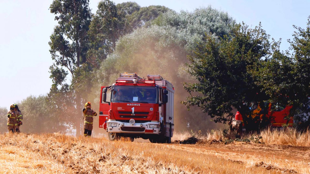 Senapred reporta más de 250 hectáreas afectadas por incendios forestales en el Biobío