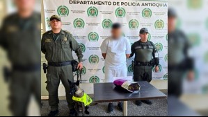 ¿Empleada del mes? Perra policial detectó 220 gramos de marihuana en su primer día de trabajo