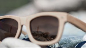 Empresa chilena de lentes recibió fuerte inversión para salir de complejo panorama económico