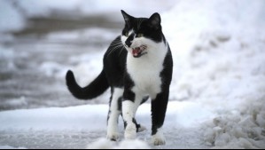 Después de la lluvia, bajan las temperaturas: Revisa el pronóstico del tiempo para este lunes