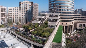 Energía verde: Enel promueve huertos solares integrando plantas y energía renovable en entornos urbanos