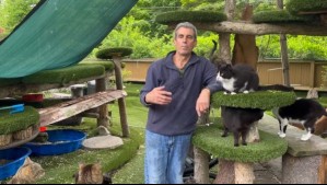 Tragedia en un albergue para gatos: Fundador muere tras intentar salvar a los felinos de un feroz incendio