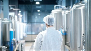 Al borde de la quiebra: El drama de tradicional empresa argentina de lácteos