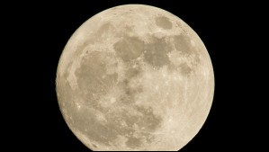 Luna rosa 2025: ¿Cómo y cuándo se podrá ver desde Chile?