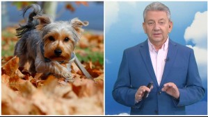 Mañana de otoño, tarde de verano: El pronóstico del tiempo de Jaime Leyton para este viernes