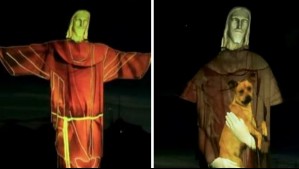'Todo ser vivo merece dignidad': Video muestra al Cristo Redentor iluminado para promover adopción de animales callejeros