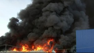 Videos muestran gigantesco incendio en Paine: Exportadora de frutas es consumida por las llamas