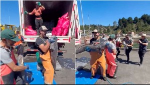 Revelan que pescadores desaparecidos participaron en un videoclip antes del naufragio de Bruma