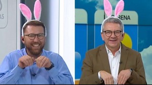El espíritu de Pascua de Resurrección se toma Meganoticias Siempre Juntos: ¡Luis Ugalde y Don Jaime sorprenden como conejitos!