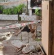 Conoce detalles sobre la muerte accidental de Alicia Esther Reina, quien tras no llegar al velorio de su esposo, fue encontraba muerta al interior de un pozo en el patio de su casa en La Plata, Argentina.