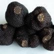Revisa cuáles son los beneficios de la trufa negra, hongo que está siendo cultivado por expertos en varias regiones del país, y que es considerado el oro negro de la gastronomía.