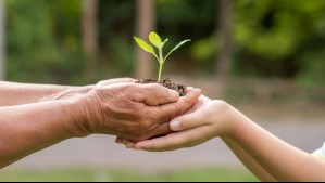 Sueldos superan ampliamente los $2 millones: Conoce las ofertas laborales del Ministerio del Medio Ambiente