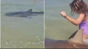 El agua se tiñó de rojo: Tiburón atacó a un buzo en playa de Israel y los bañistas grabaron el momento