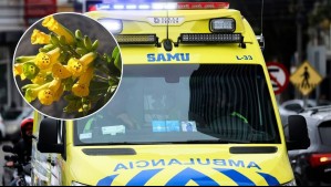 Hombre muere por presunto consumo de una planta en un guiso: Su familia también resultó intoxicada