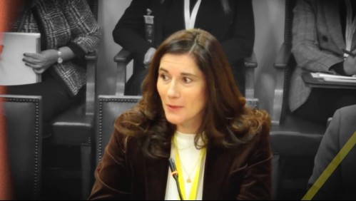 cristina vilches