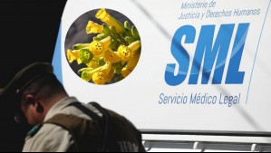 'La preparó como ensalada': Hombre que murió por consumir planta tóxica la tenía sembrada en su patio