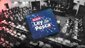 Más de 250 audiencias: El intenso lobby en la tramitación de la Nueva Ley de Pesca y de Fraccionamiento