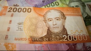 Bono de Protección: ¿Cómo se pagan los montos mensuales para dueñas de casa?