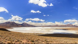 FNE aprueba asociación de Codelco y SQM para producción de litio: ¿En qué zona se explotará el mineral?