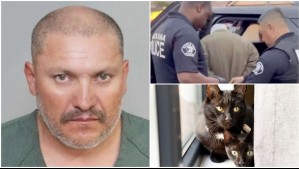 Vecinos lo descubrieron: Arrestan a 'asesino serial de gatos' en Estados Unidos