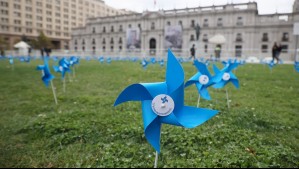 ¿Por qué instalaron más de 4 mil remolinos azules en La Moneda?