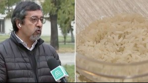 Estudio internacional detecta arsénico en el arroz: Experto se refiere al caso y da recomendaciones