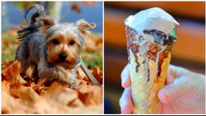 Frío otoñal y calor de verano: Revisa el pronóstico del tiempo para este lunes 28 de abril