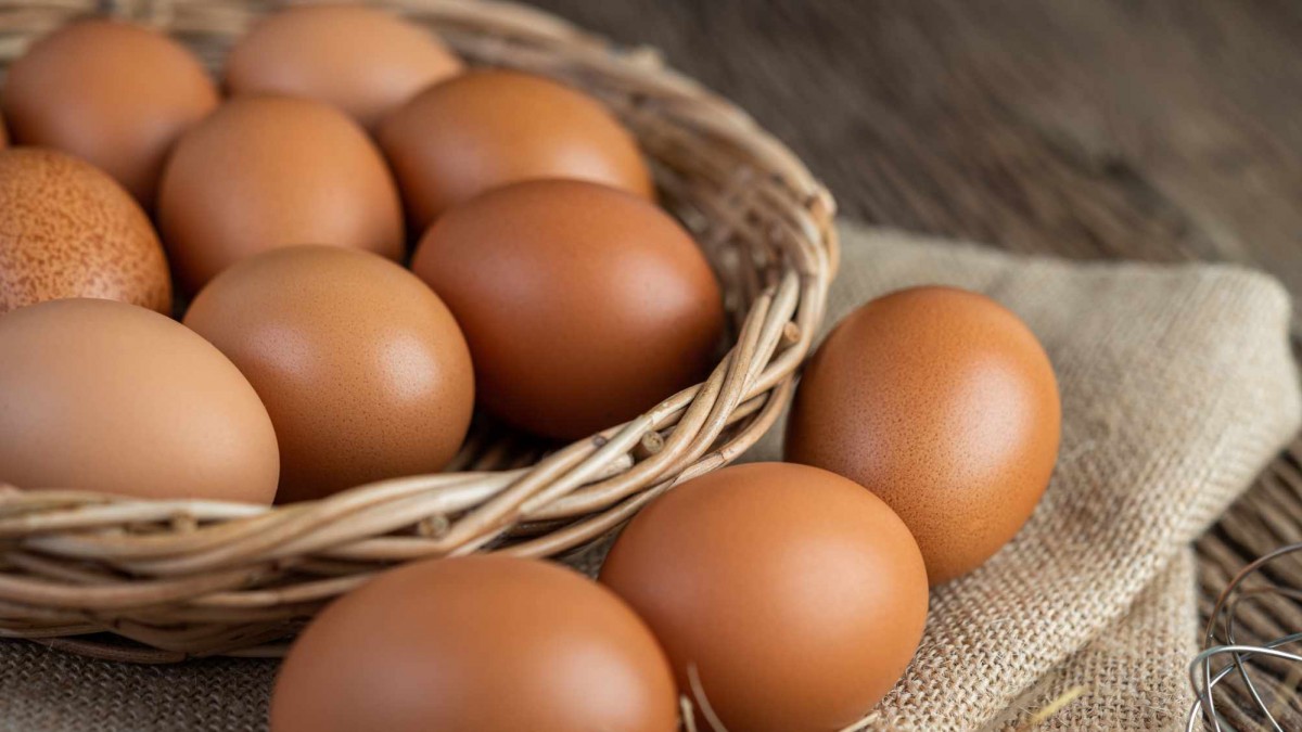 ¿Cuántos huevos diarios son seguros para tu salud? ¿Cuántos huevos diarios son seguros para tu salud?