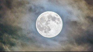 Luna de las Flores: En esta fecha se verá desde Chile