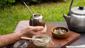 Esta es la empresa de yerba mate que tiene sus ojos puestos en Chile: Buscan exportar 5 millones de kilos