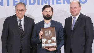Boric recibe informe de Comisión para la Paz y el Entendimiento: ¿Qué propone para solucionar el conflicto con el pueblo mapuche?