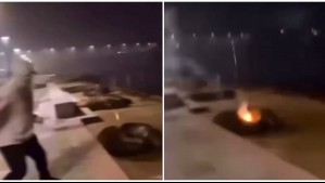 Investigan ataque con fuegos artificiales a lobos marinos en Valdivia: Video muestra momento en que les lanzan pirotecnia