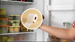 ¿Un papel higiénico en el refrigerador? El fácil y extraño truco que sirve para los olores y los alimentos