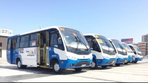 Fue arrastrada por siete metros: Adulta mayor de 87 años muere atropellada por microbús en Antofagasta