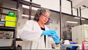 Científica chilena crea probiótico capaz de eliminar bacteria ligada al cáncer gástrico