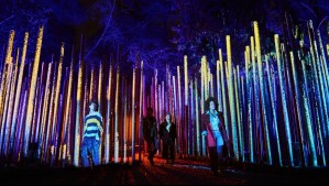 Light Cycles ya llegó a Chile: Conoce cómo puedes visitar la experiencia de luces