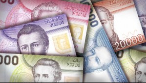 Sus pagos duran dos años y exige solo un requisito: ¿Cómo consultar con RUT si me corresponde el Bono de Protección?