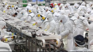 'Cerca de 3 mil familias podrían perder su empleo': La advertencia del alcalde de Talcahuano por Ley de Fraccionamiento