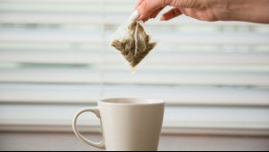 ¡No botes la bolsa de té! Estos son los beneficios de guardarla en el refrigerador