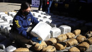 Viajaban con niños y bebés: Desbaratan banda que trasladó más de 430 kilos de marihuana desde la zona norte a Santiago