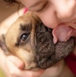 Revisa en detalle la razón por la que tu perro te lame la cara. Una experta analizó este comportamiento en los canes, el cual es común y prevalece desde hace años en la sociedad.