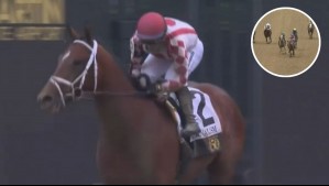Triunfo histórico para la hípica nacional: 'Journalism' se queda con el Preaknes Stakes de Estados Unidos