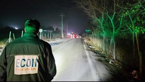 Funcionario municipal encontró cuerpo baleado en Pudahuel: Tiene al menos siete disparos y uno en el rostro