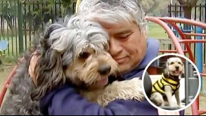 Final feliz para chofer despedido: Su perro de contención emocional será acreditado y él recibió ofertas laborales