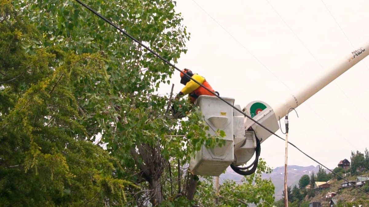 Enel implementa monitoreo de árboles para prevenir cortes de energía en invierno
