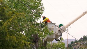 Enel implementa monitoreo de árboles para prevenir cortes de energía en invierno