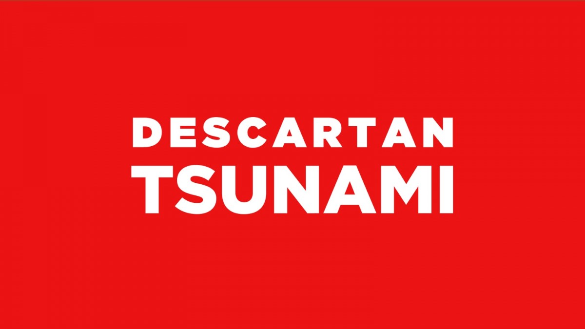 SHOA descarta tsunami en las costas de Chile tras fuerte temblor en la zona central